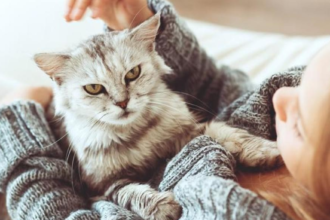 Medizinische Behandlungen für Katzenallergien, Flohallergien und atopische Dermatitis