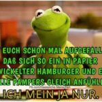 freche kermit der frosch sprüche deutsch